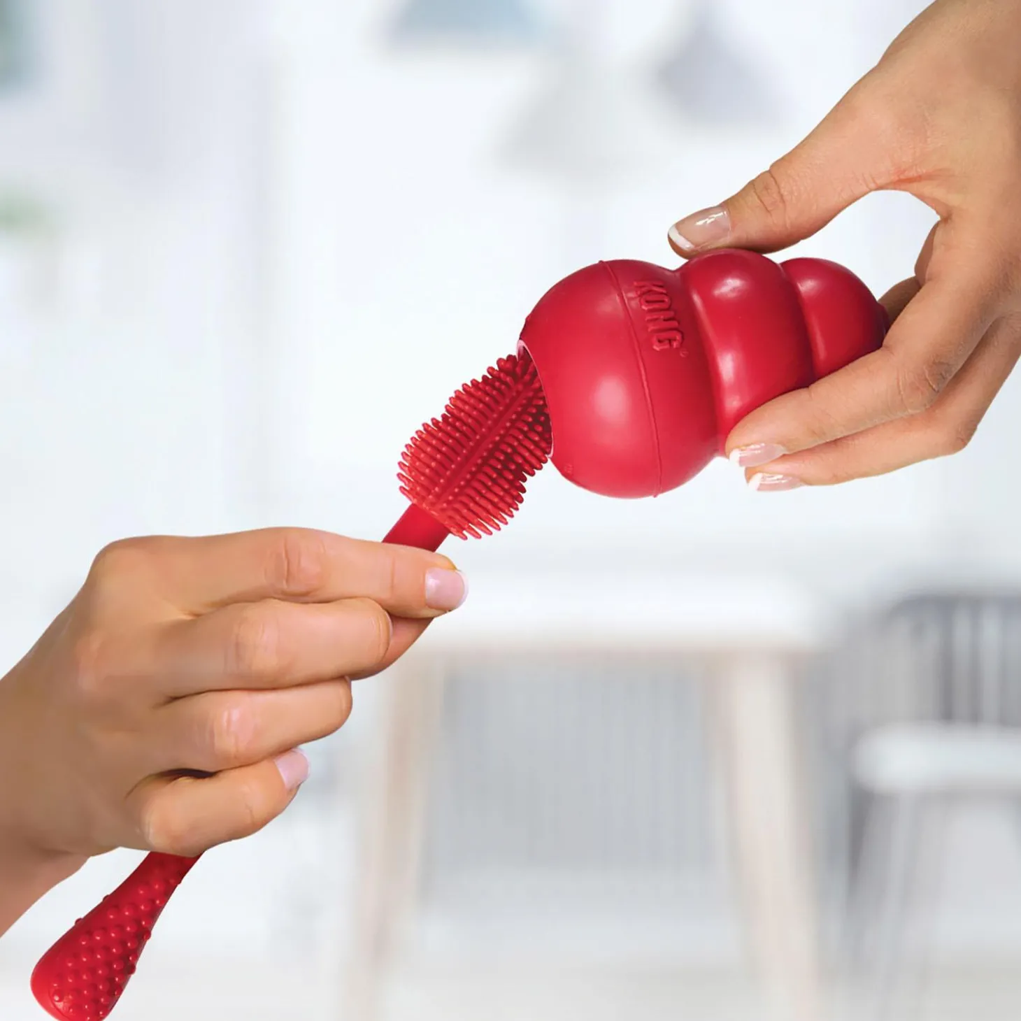 Cleaning Brush