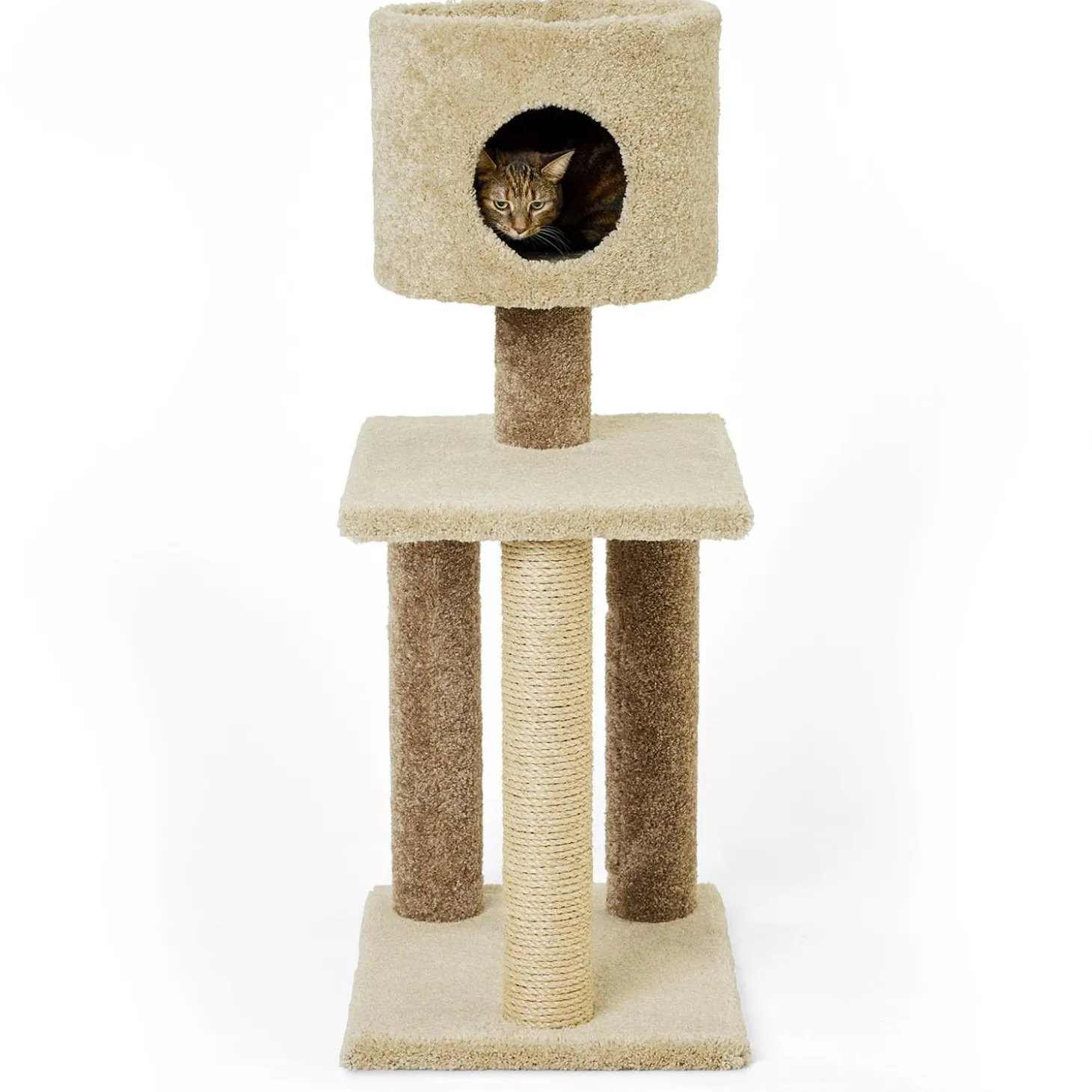 Coco Tree Kitty Condo