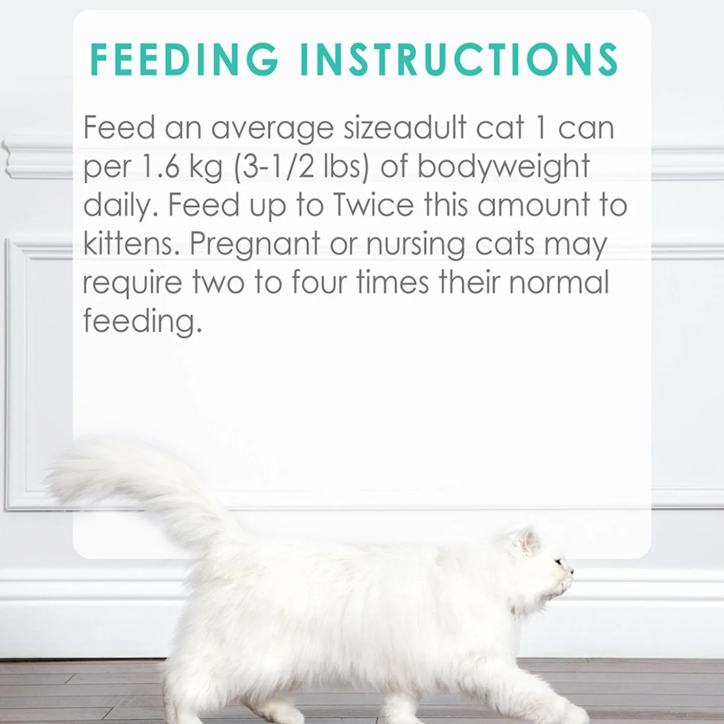 Cod, Sole & Shrimp Feast Pate Adult Cat Food