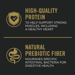 Complete Essentials Beef & Rice Formula Adult Dog Food