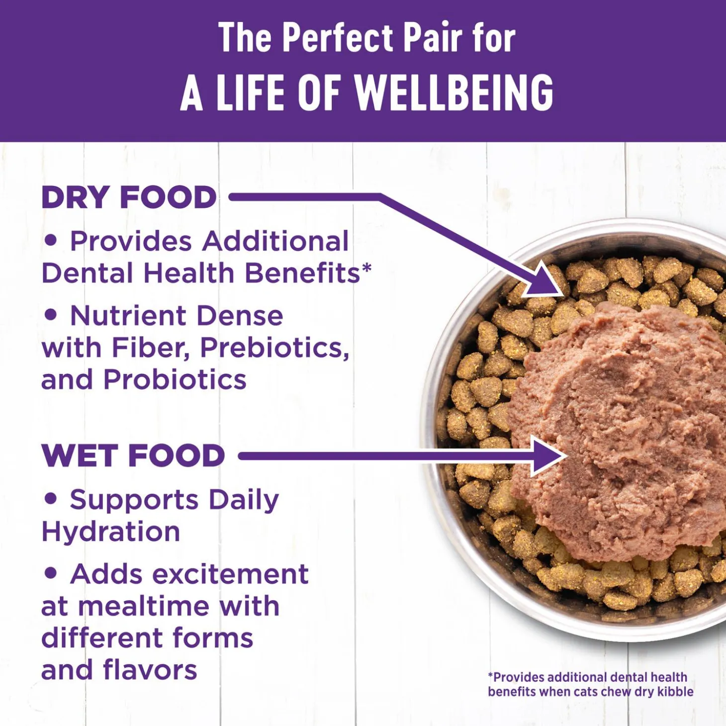 Complete Health Chicken Entree Pate Adult Cat Food