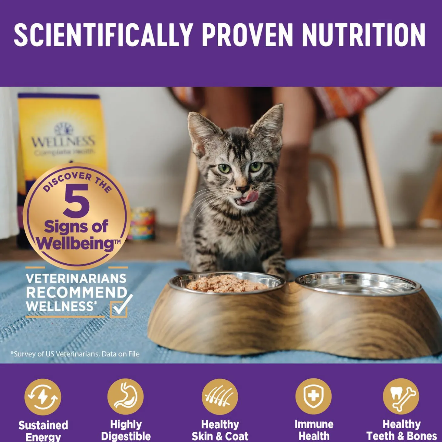 Complete Health Chicken & Turkey Pate Favourites Variety Pack Adult Cat Food