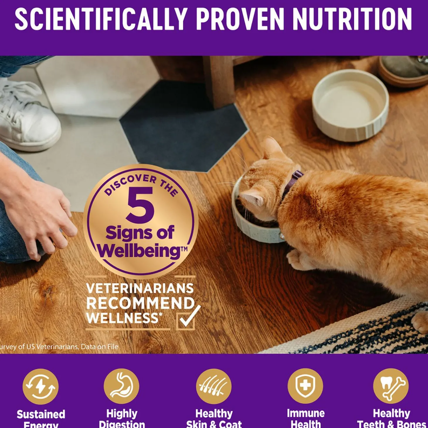 Complete Health Deboned Chicken & Chicken Meal Recipe Adult Cat Food