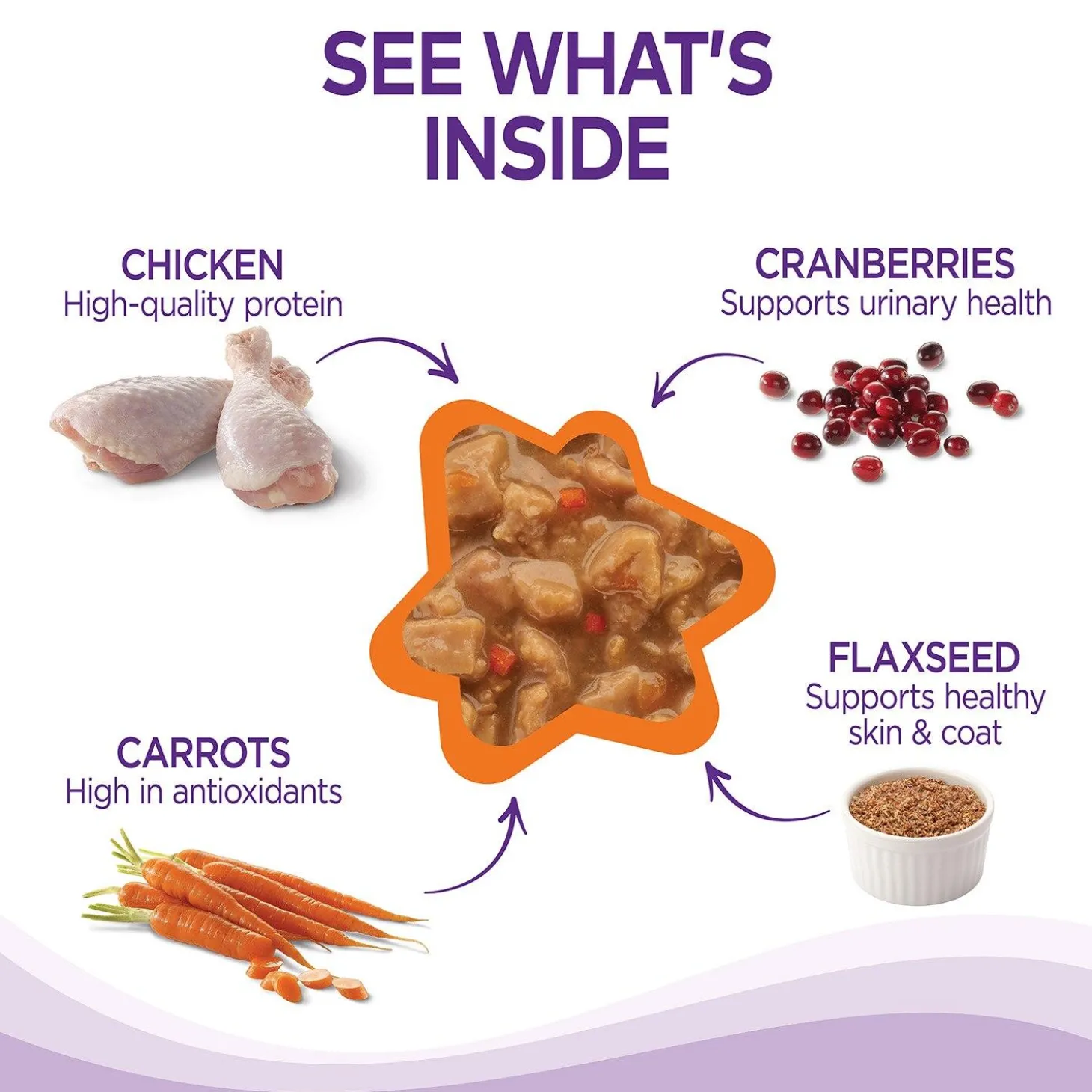 Complete Health Gravies Chicken Entree Adult Cat Food