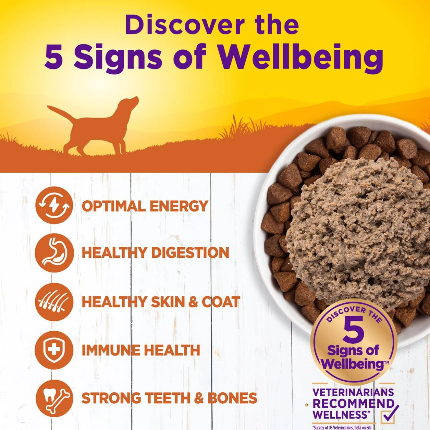 Complete Health Turkey & Sweet Potato Recipe Pate Dog Food