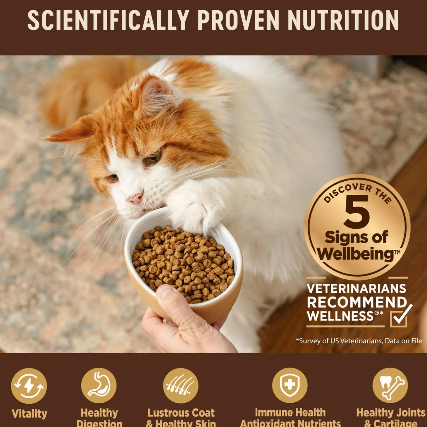 CORE Original Deboned Turkey, Turkey Meal & Chicken Meal Recipe Adult Cat Food