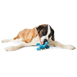 Dental 4 Bone Dog Toy