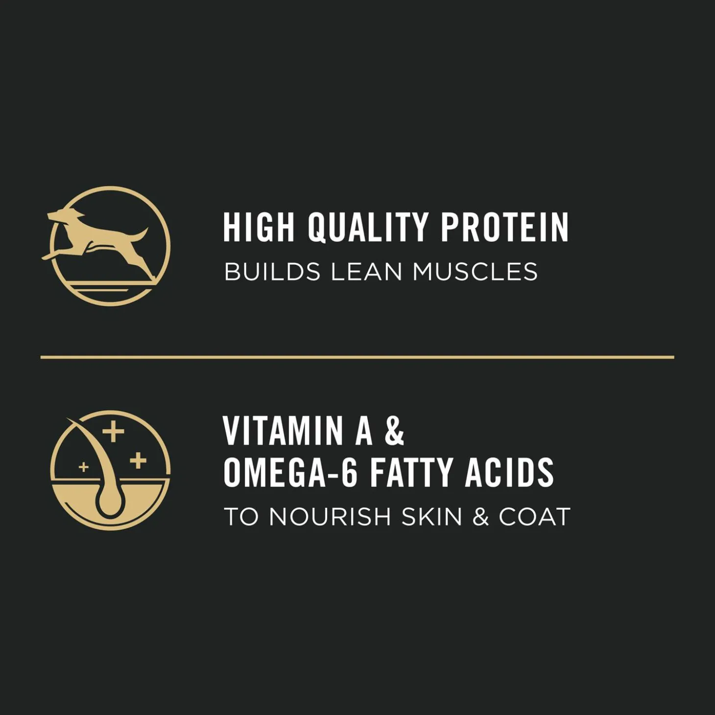 Development Chicken & Rice Formula Puppy Dog Food