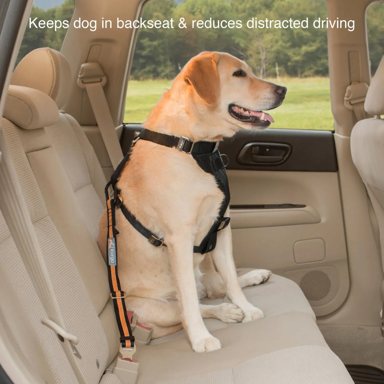 Direct to Seatbelt Dog Car Tether With Carabiner
