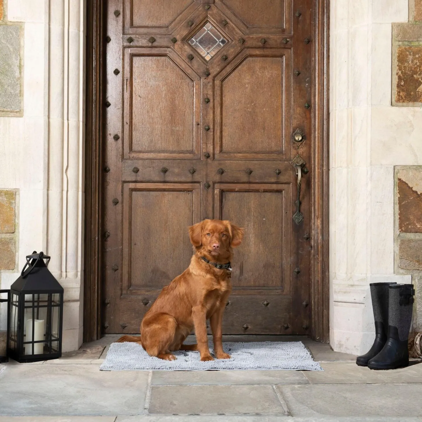 Dirty Dog Doormat Silver Grey