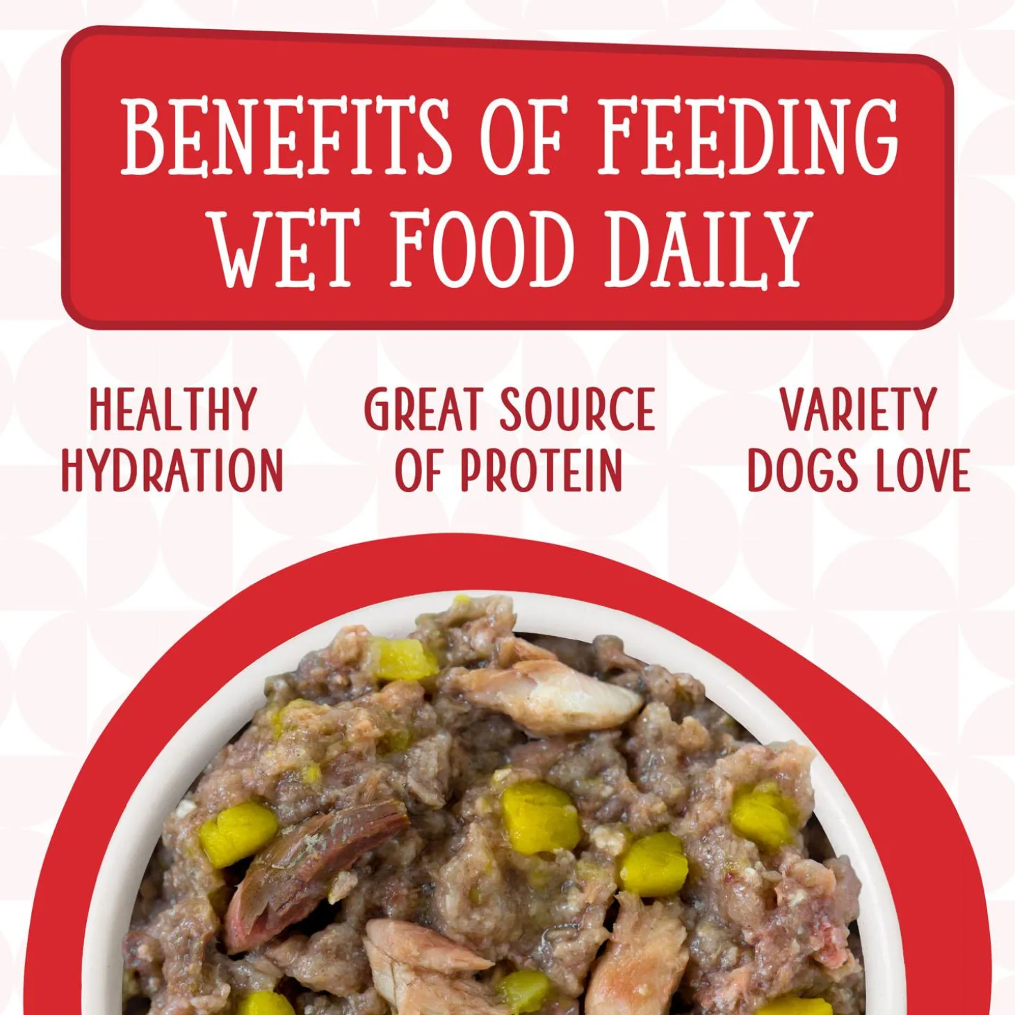 Dogs in the Kitchen The Double Dip Beef & Wild-Caught Salmon Adult Dog Food