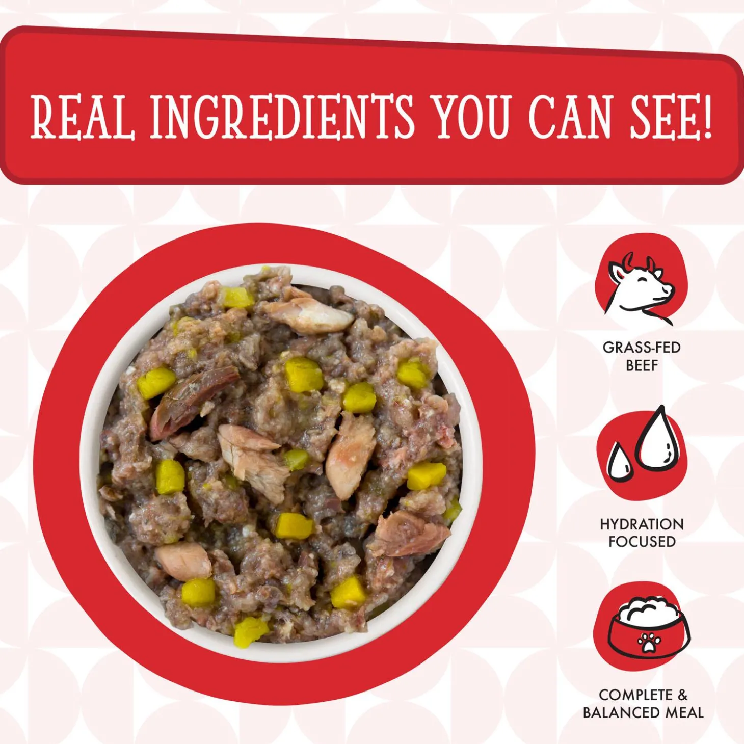 Dogs in the Kitchen The Double Dip Beef & Wild-Caught Salmon Adult Dog Food