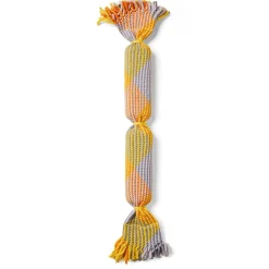 Double Squeaker Dog Toy