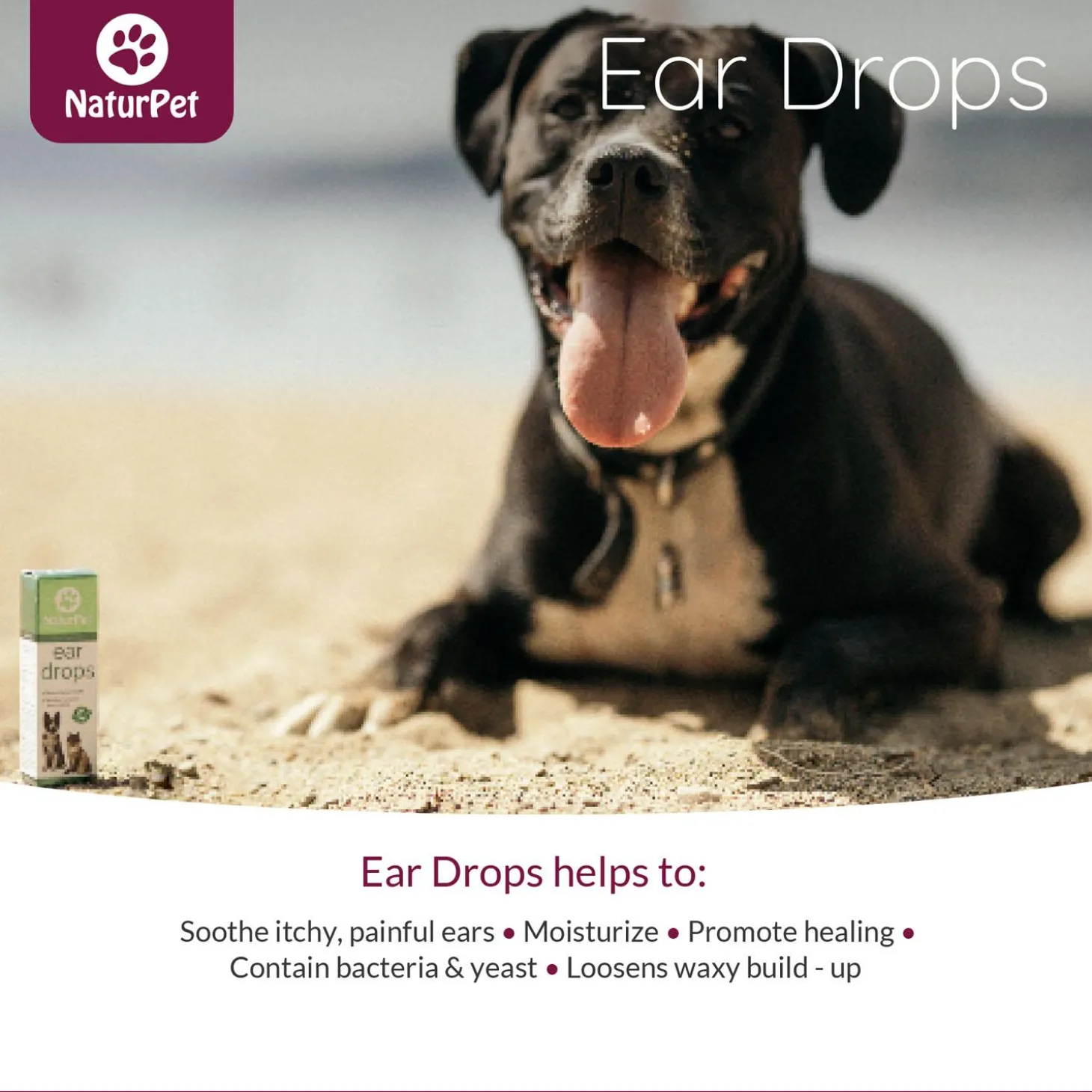 Ear Drops