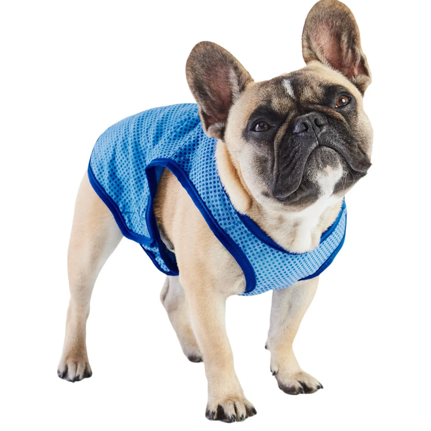 Elastofit Ice Vest