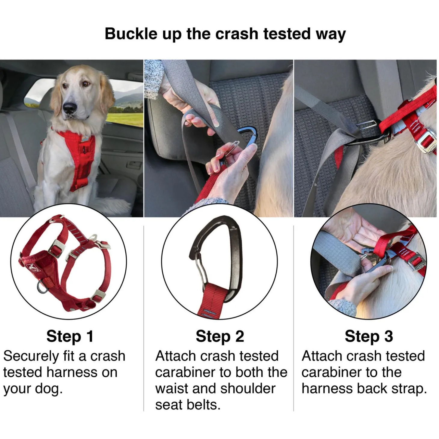 Enhanced Strength Tru-Fit Smart Black Dog Harness