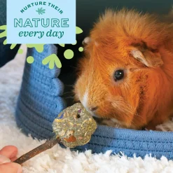 Enriched Life colour Kabob Small Animal Toy
