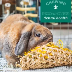 Enriched Life Crunchy Carrot Small Animal Toy