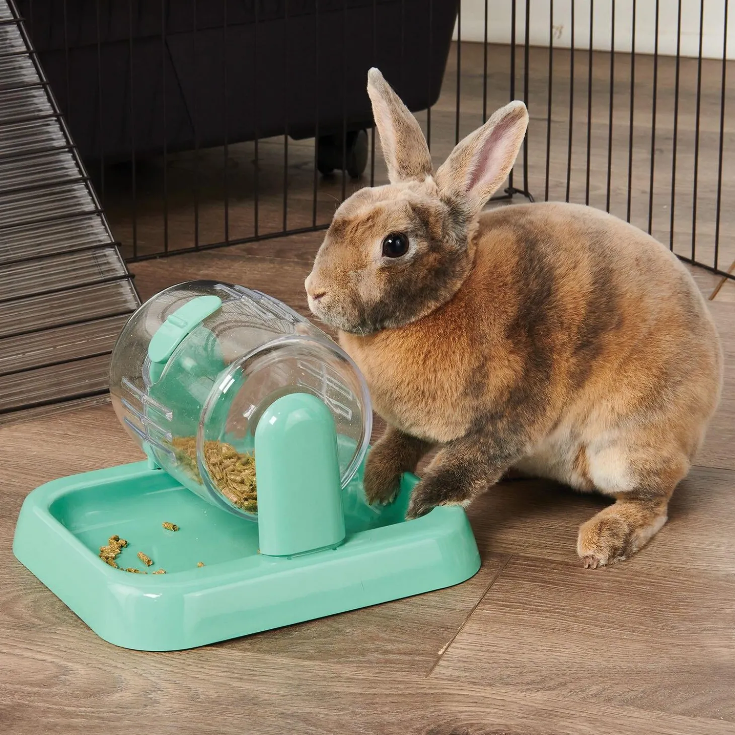 Enriched Life Rolly Teaser Small Animal Feeder
