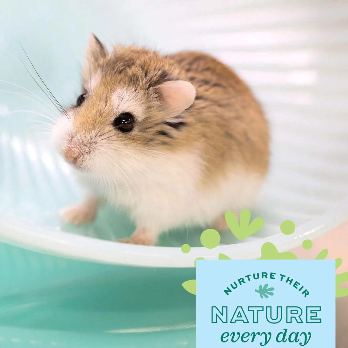 Enriched Life Run & Hide Small Animal Saucer