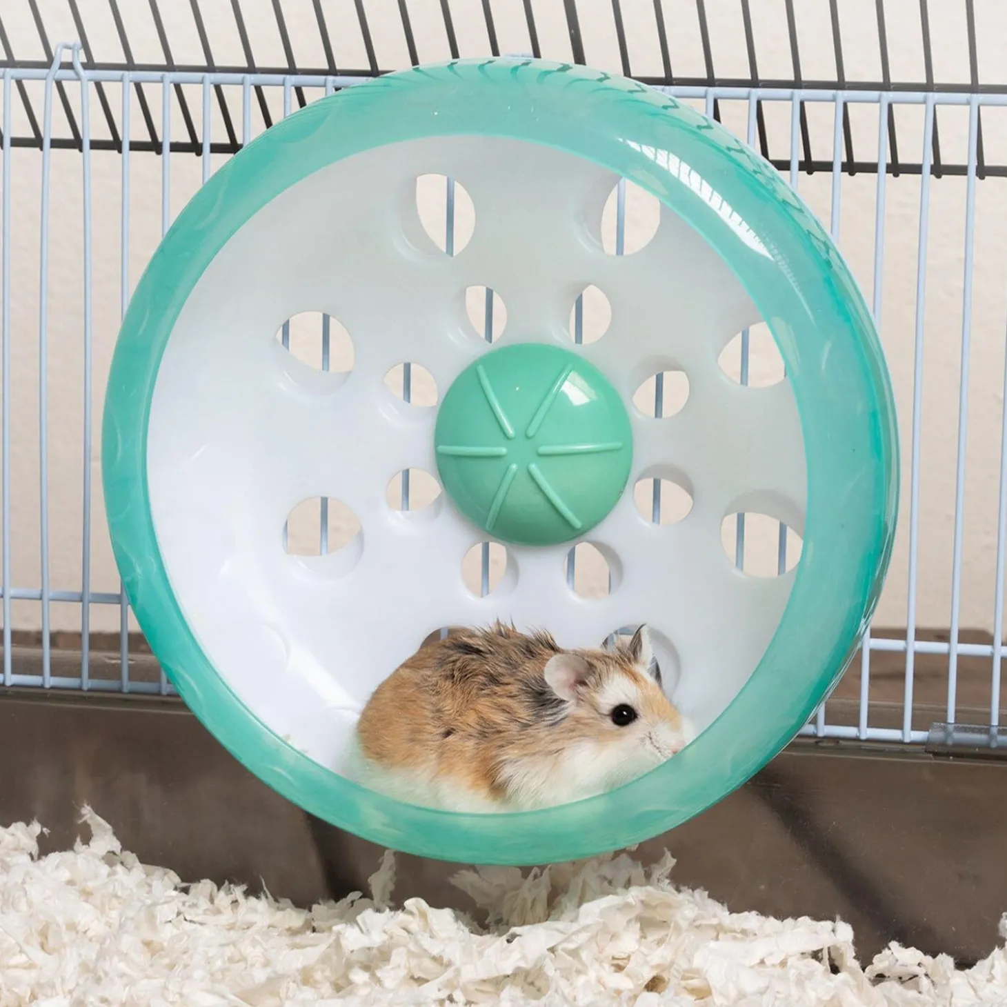 Enriched Life Small Animal Attachable Quiet Wheel