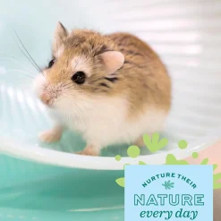 Enriched Life Small Animal Attachable Quiet Wheel