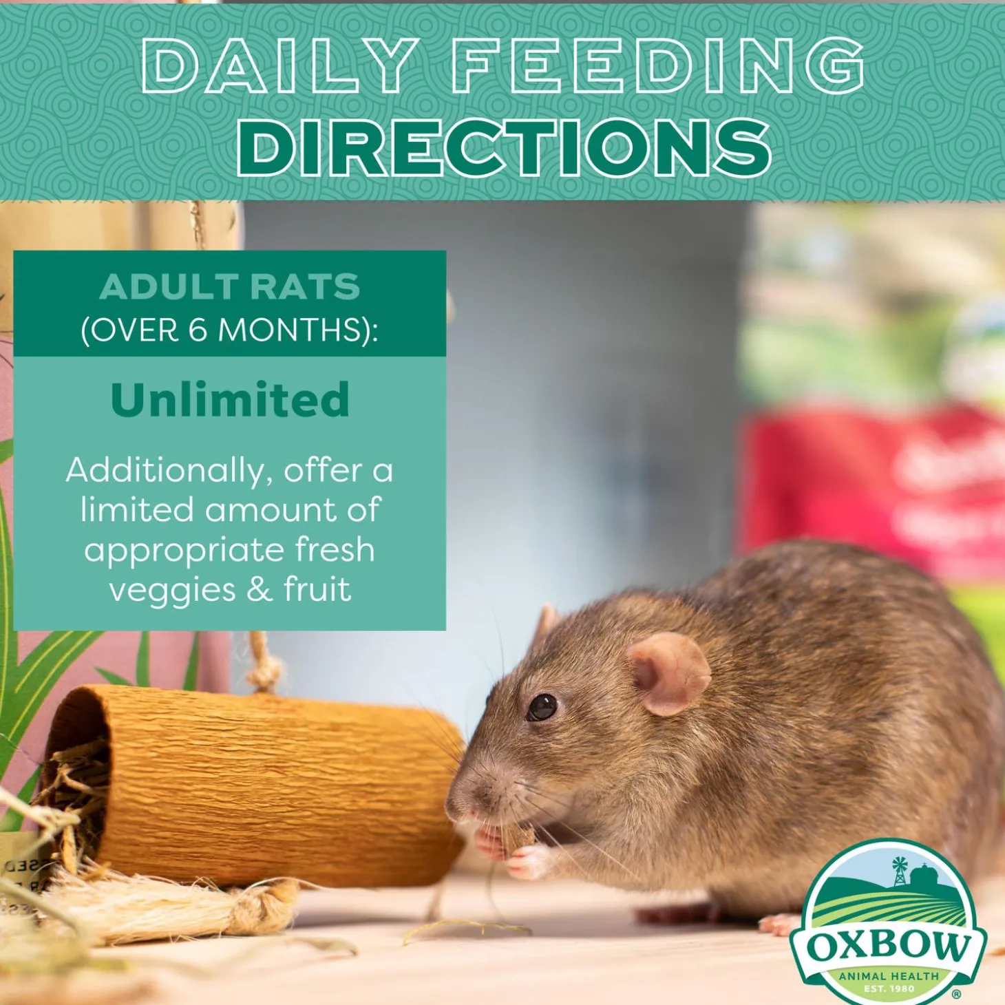 Essentials Adult Rat Food