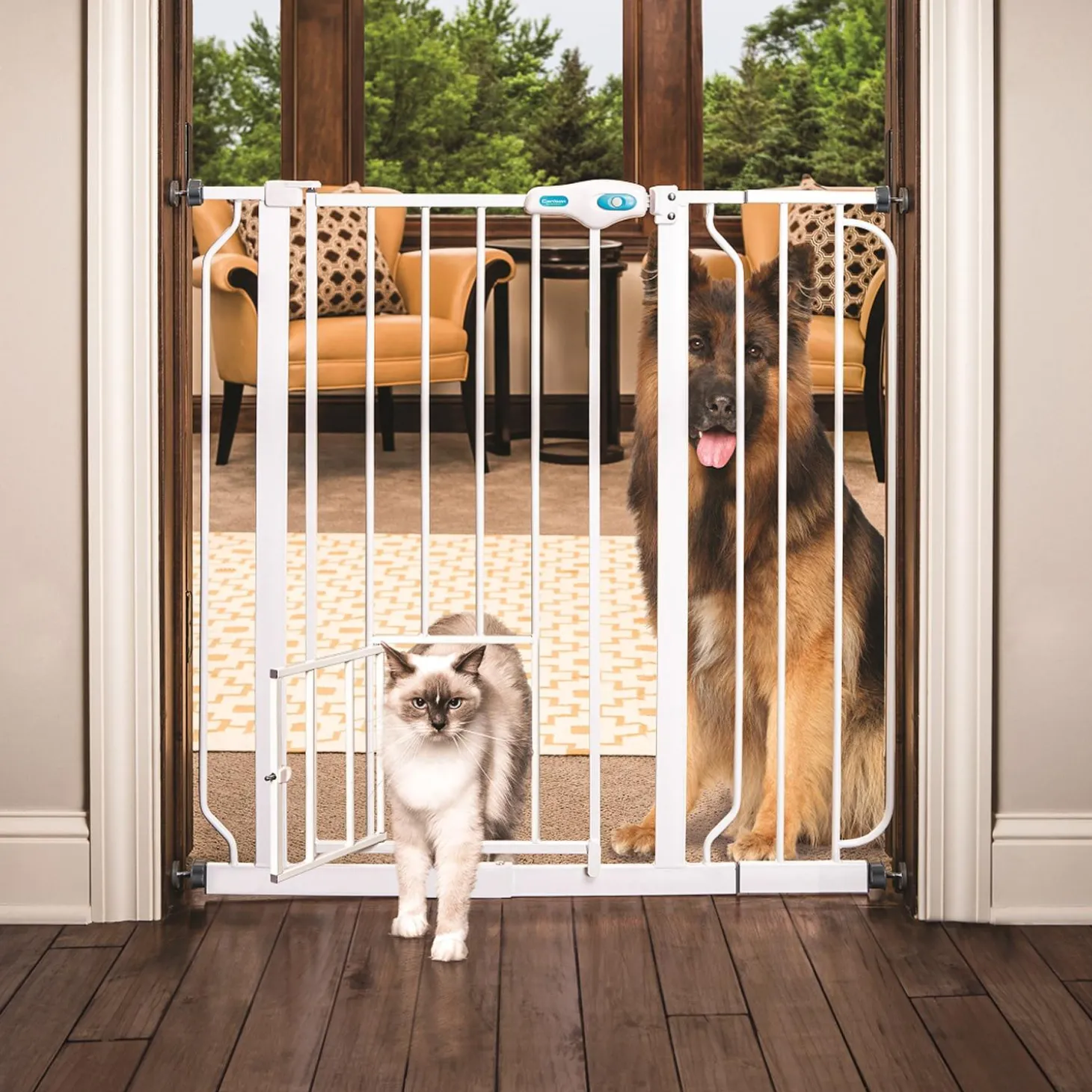 Extra Tall Assembly Gate