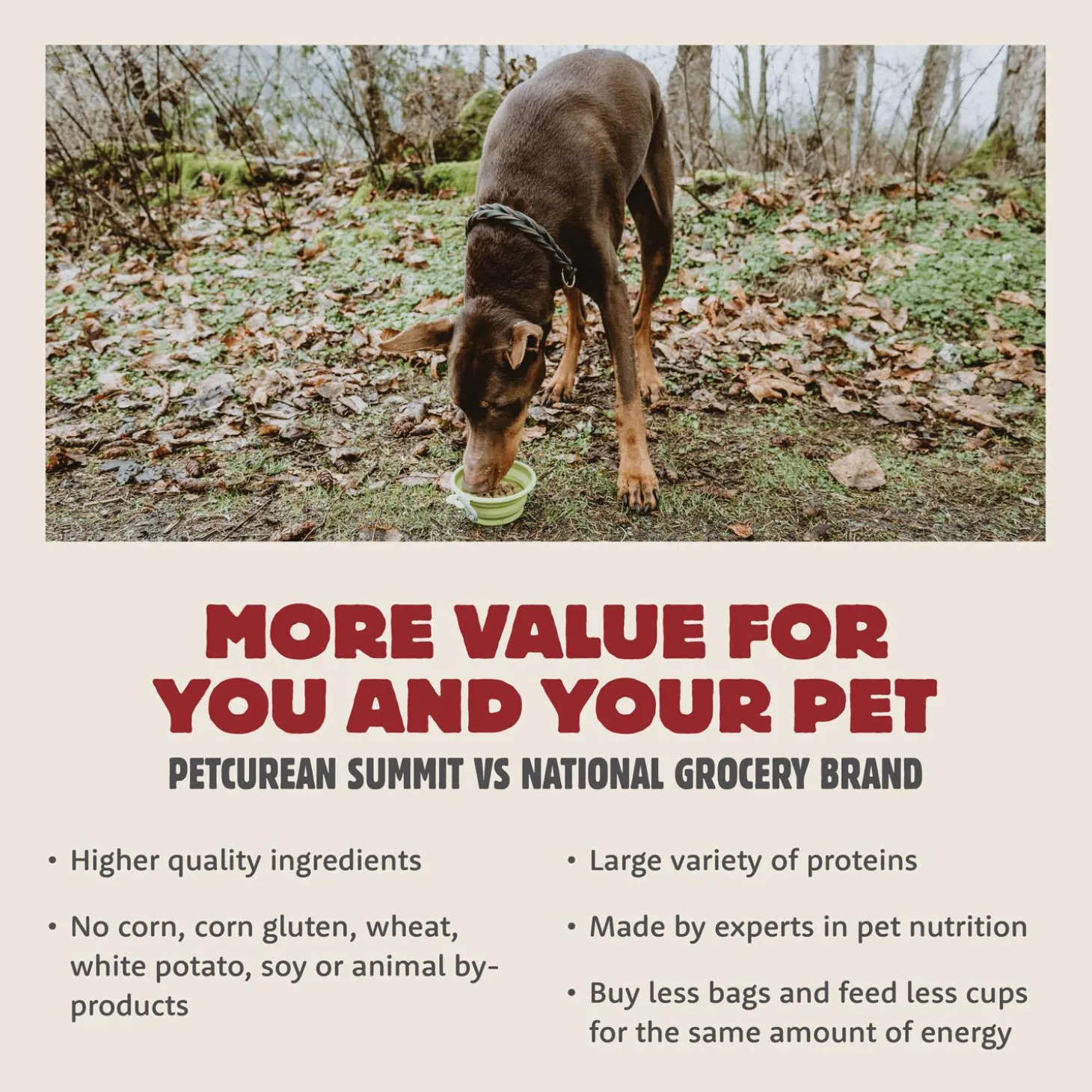 Farmstead Feast Pork Meal & Lamb Meal Recipe Large Breed Adult Dog Food