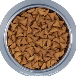 Feline Health Nutrition Indoor Adult Cat Food