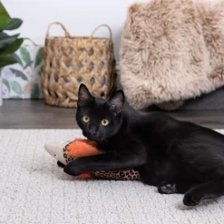 Fin Frenzy Cat Toy