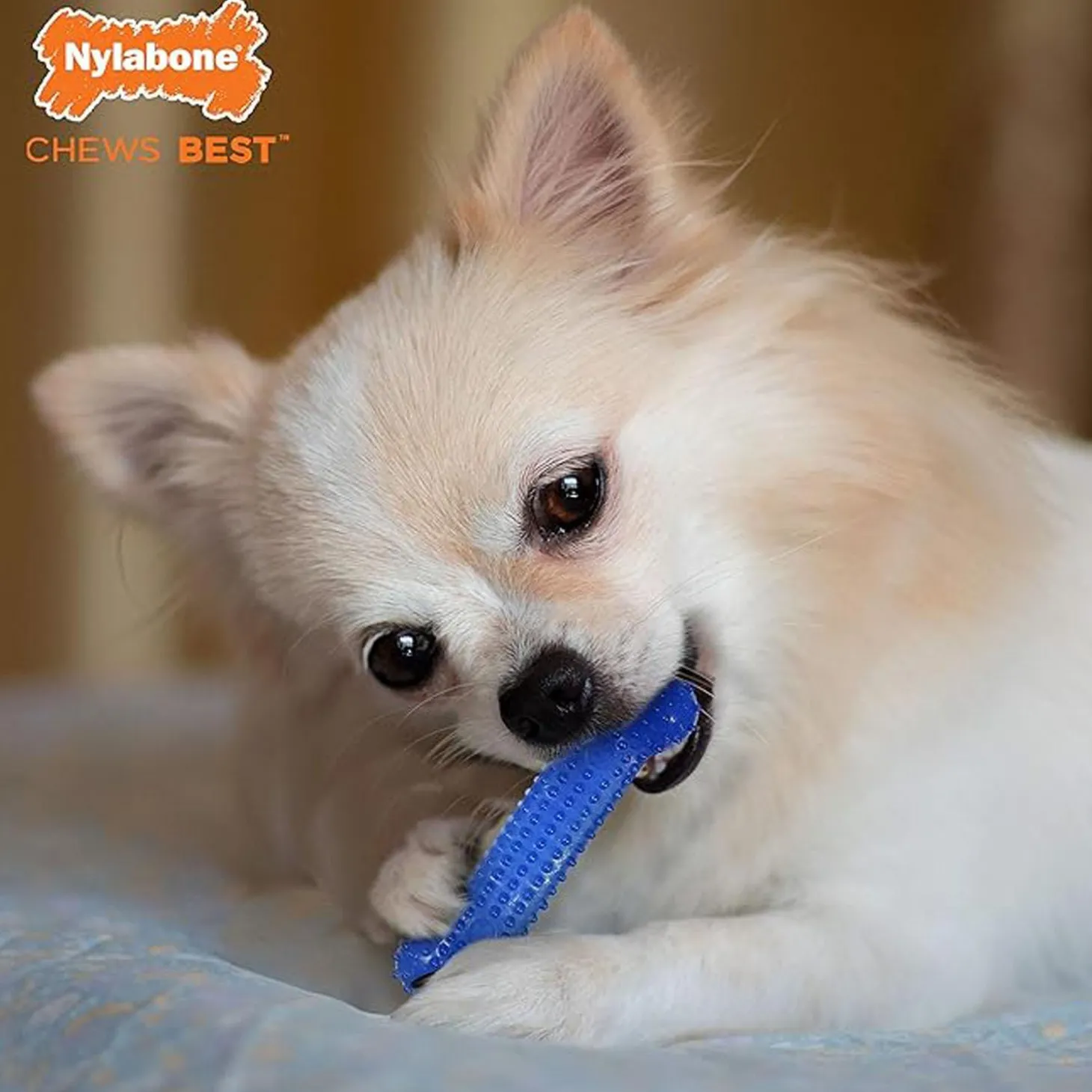 Flexi Chews Small Dog Dental Kit Dog Toys