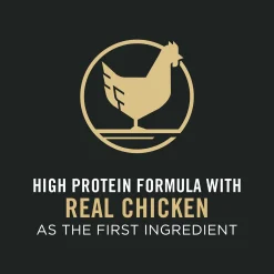 Focus Kitten Chicken & Rice Formula Cat Food