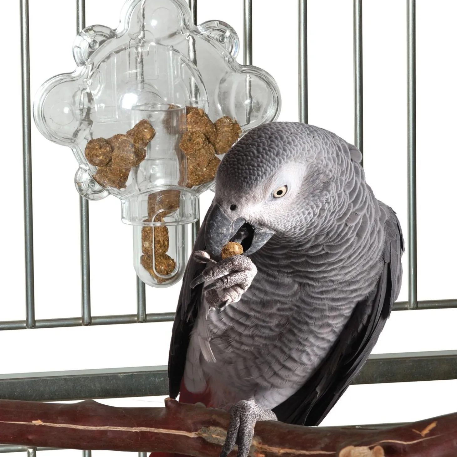 Food Tumbler