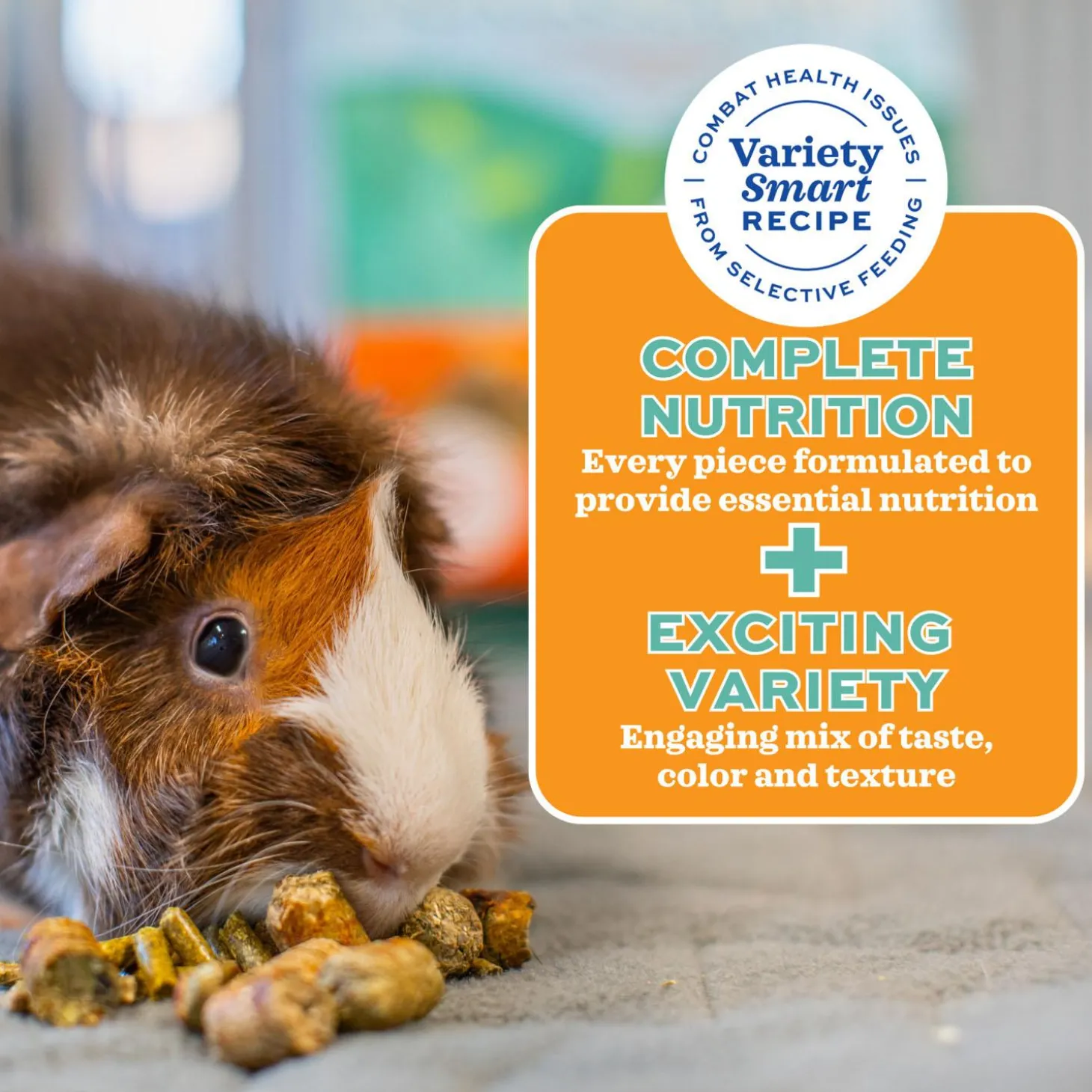 Forage Wise Daily Adult Guinea Pig Food