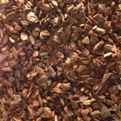 Forest Bark