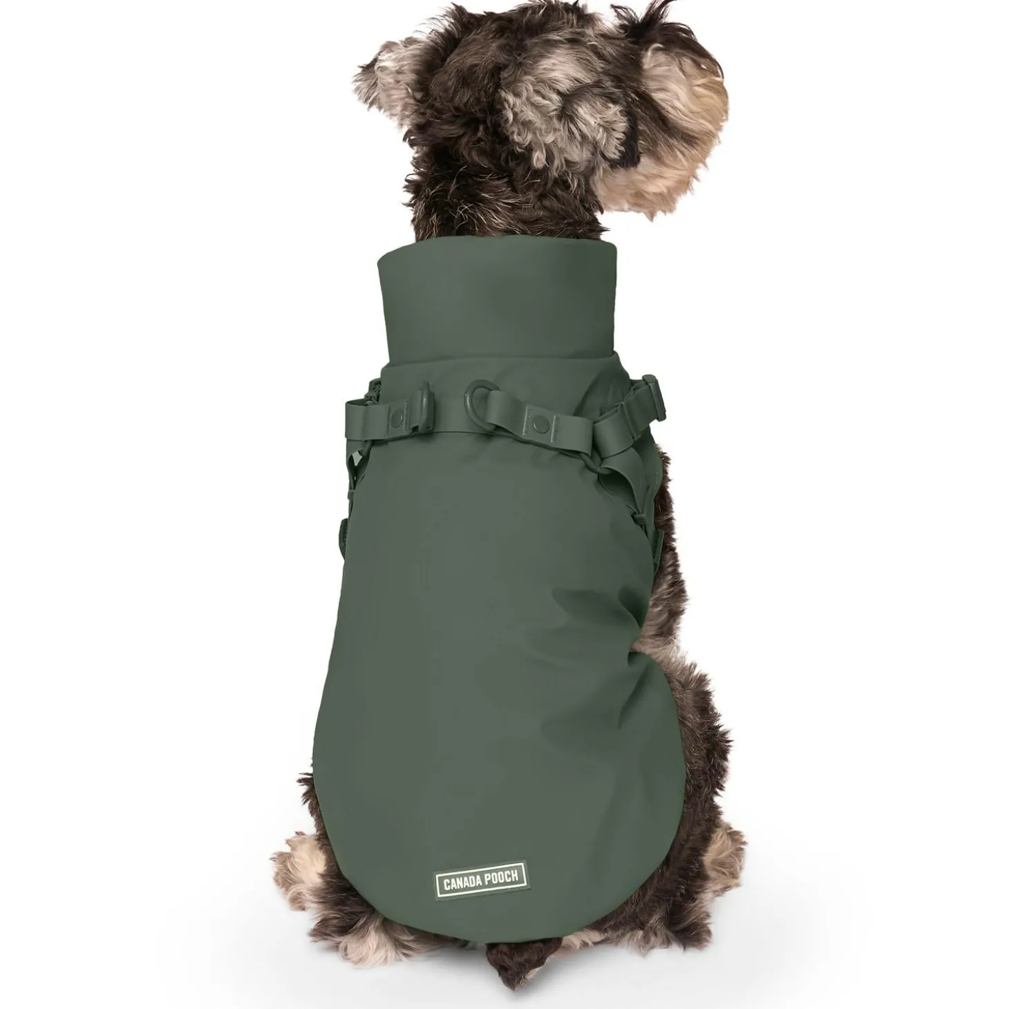Forest Green Raincoat Harness