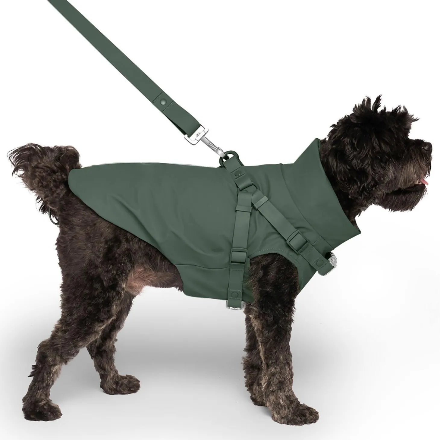 Forest Green Raincoat Harness