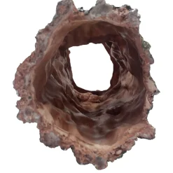 Forest Log