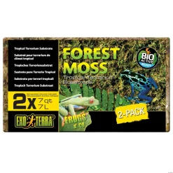 Forest Moss