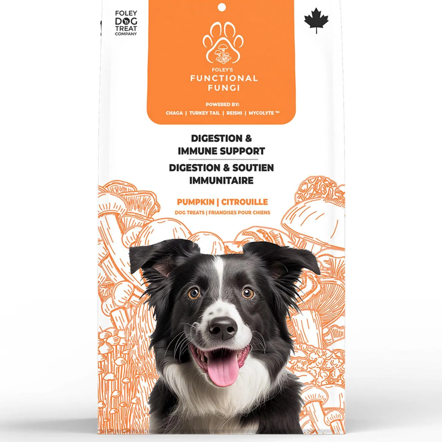 Functional Fungi Digestion & Immune Support Pumpkin Dog Treats