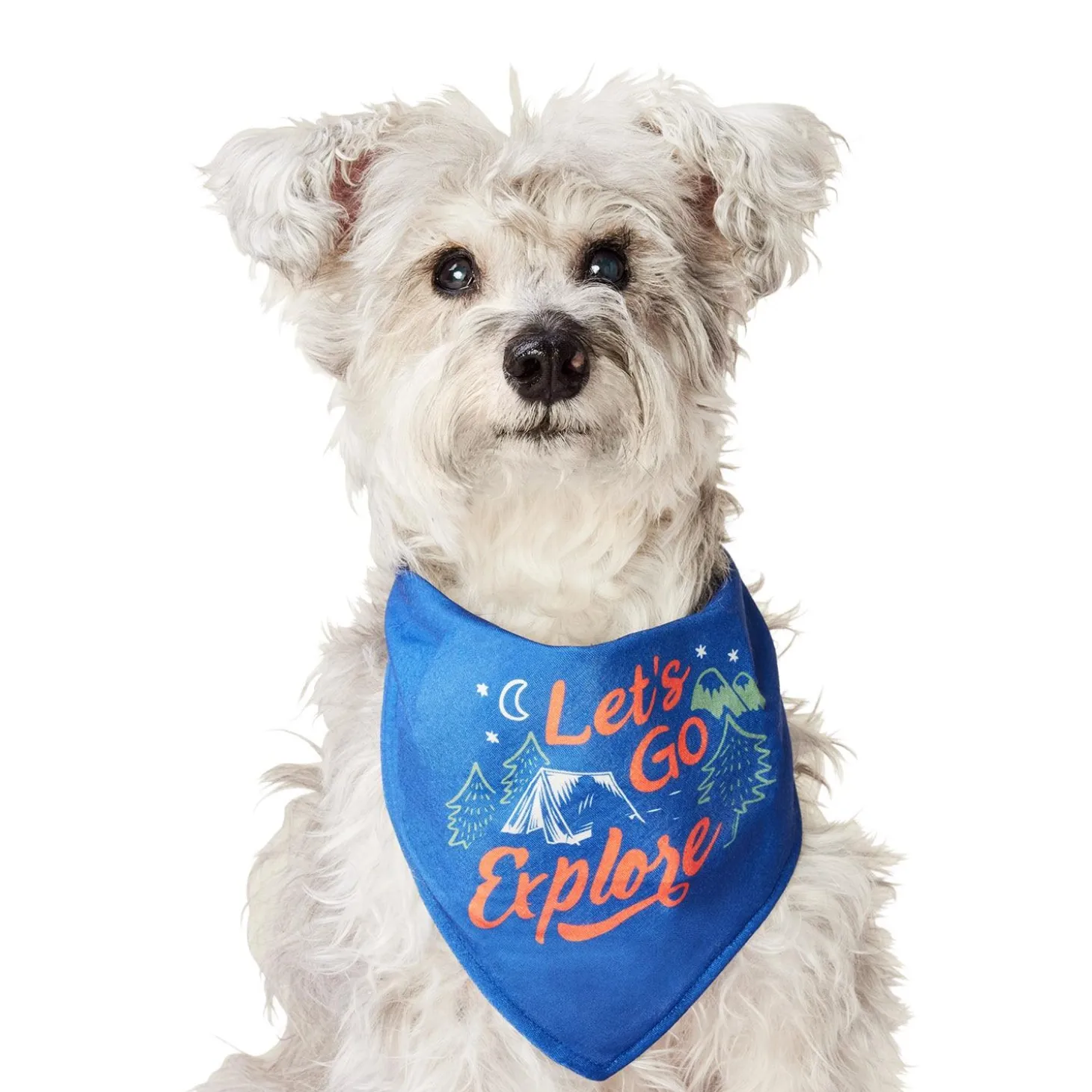 Go Explore Bandana