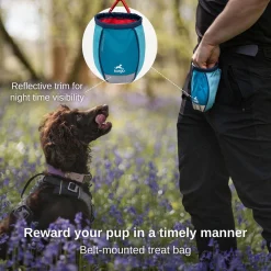 Go Stuff It Blue Treat Bag