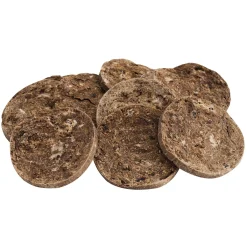 Gourmet Crunchy Beef Biscuit Dog Treat