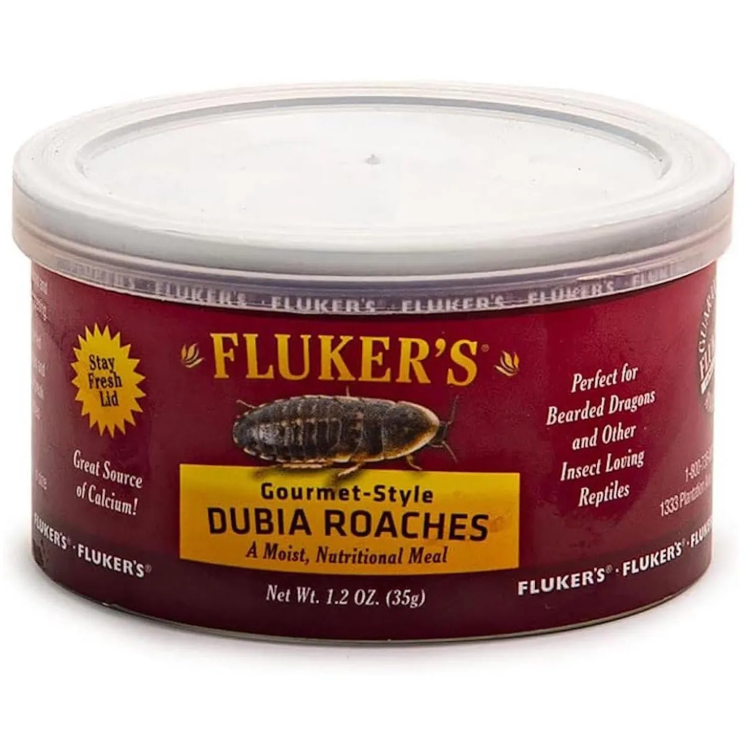 Gourmet-Style Dubia Roaches Reptile Food