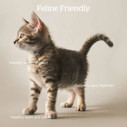 Grain-Free Trout, Salmon & Herring Recipe Adult Cat Food