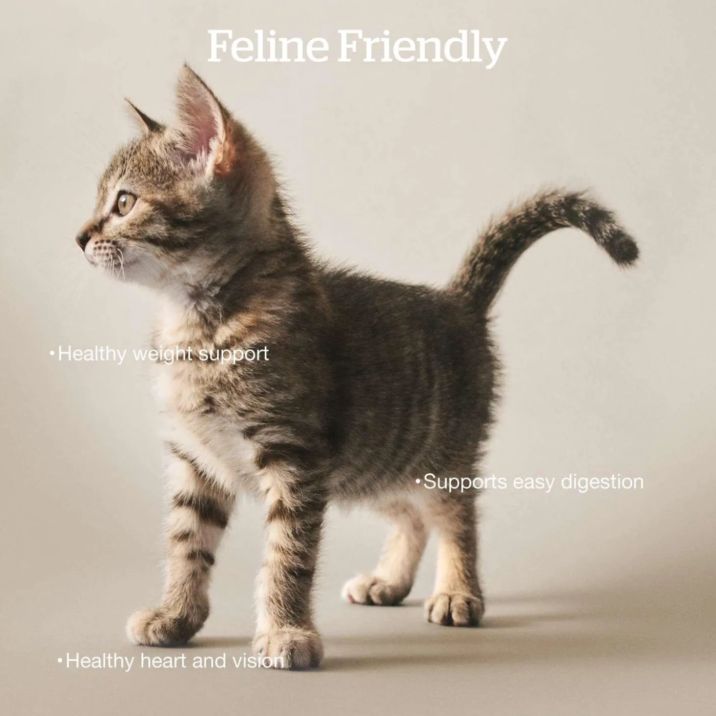Grain-Free Trout, Salmon & Herring Recipe Adult Cat Food