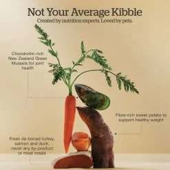 Grain-Free Turkey, Salmon & Duck Recipe Senior Dog Food