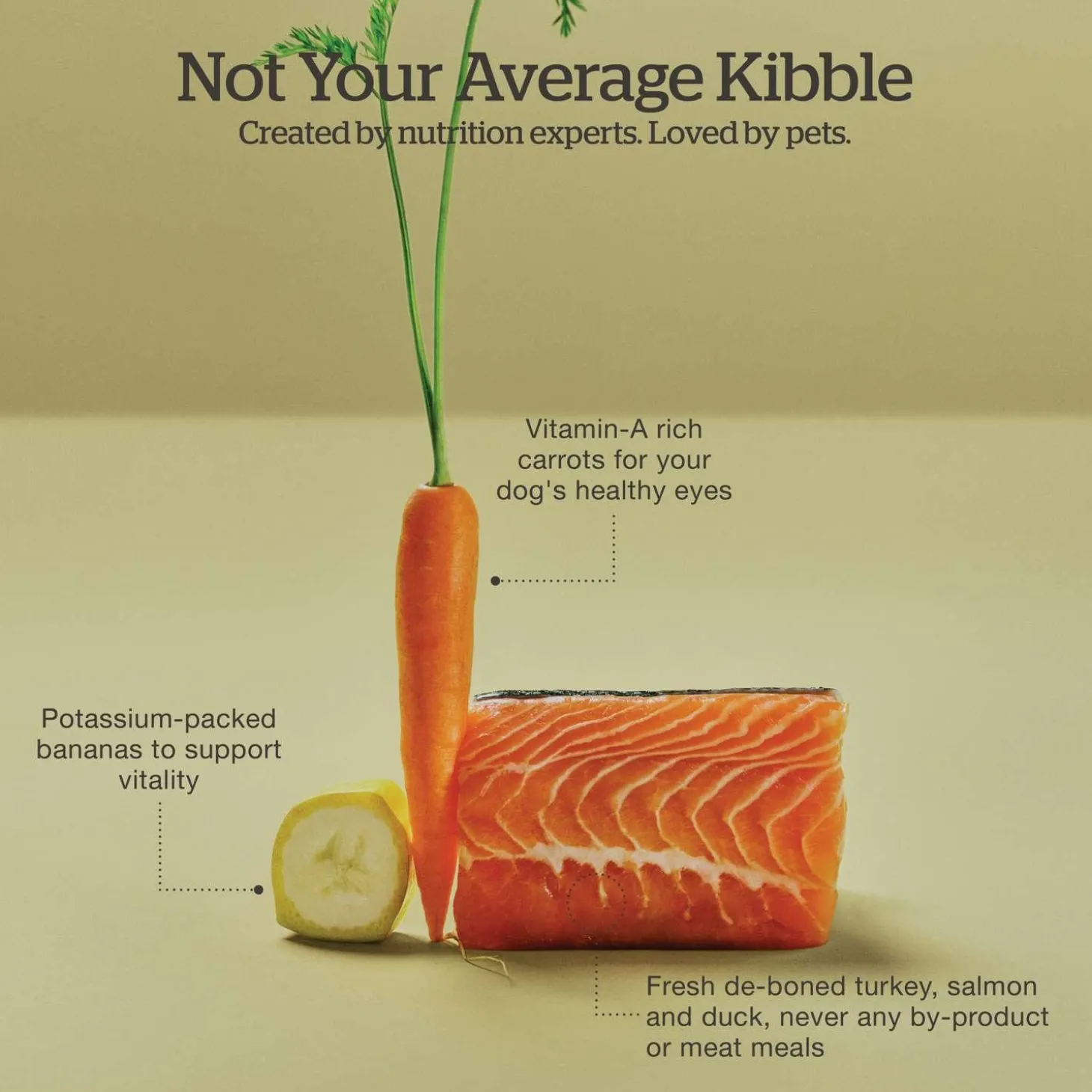 Grain-Free Turkey, Salmon & Duck Recipe Small Breed Puppy Dog Food