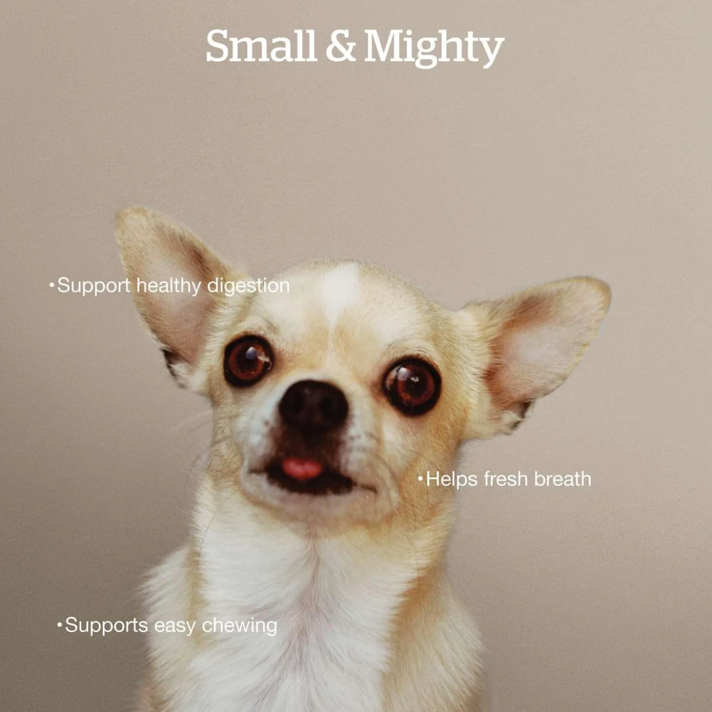 Grain-Free Turkey, Salmon & Duck Recipe Small Breed Adult Dog Food